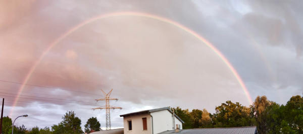 6b8cb052 c31c 4c9d 87ca 15f32c11bea0