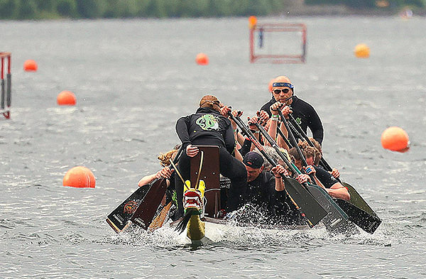 Ce182594 e4be 4e4c b678 329e9964f1c0