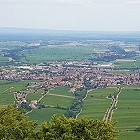 Alle Neune - Das Drachenbootteam erklimmt die Pfälzer Berge  (mit der Sesselbahn)