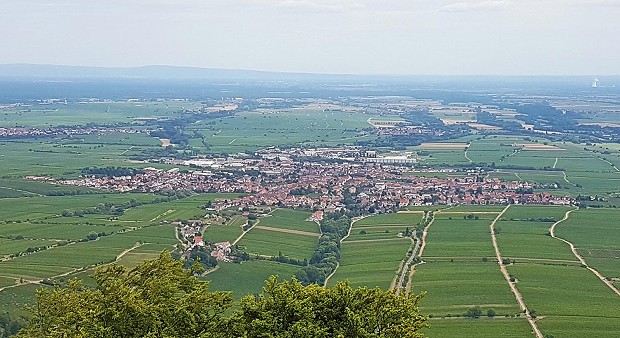 Edenkoben von der rietburg aus
