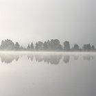 Sommerurlaub mit Gnitzen, Mücken und Rentieren