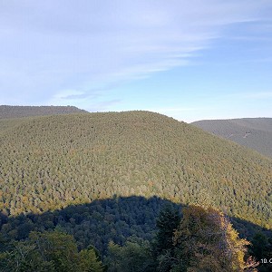 2c1b53e5-a48d-4314-9a72-2b2e5b2c5329