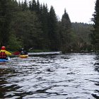 Bei Biber und Bärwurz